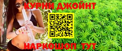 крисы Кинель