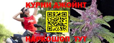 PSILOCYBIN Кингисепп