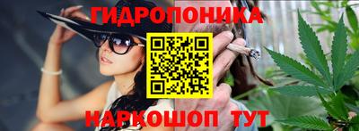 крисы Кинель