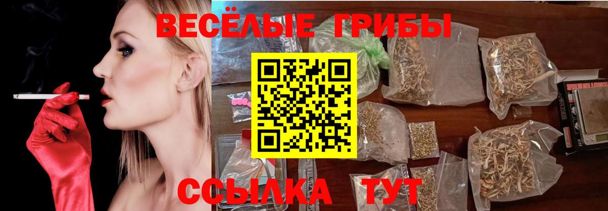 Псилоцибиновые грибы Psilocybe  купить наркотики цена  Галлюциногенные грибы прущие грибы  Кудрово  Вход с VPN 